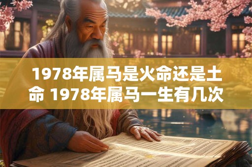 1978年属马是火命还是土命 1978年属马一生有几次婚姻