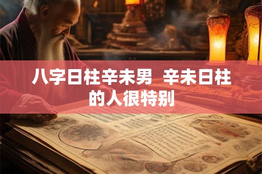 八字日柱辛未男  辛未日柱的人很特别