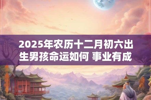 2025年农历十二月初六出生男孩命运如何 事业有成吗
