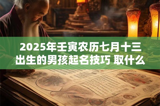 2025年壬寅农历七月十三出生的男孩起名技巧 取什么名字好