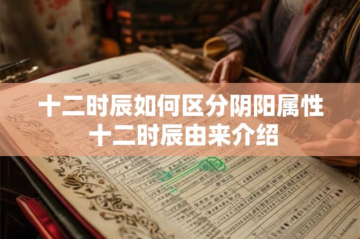 十二时辰如何区分阴阳属性 十二时辰由来介绍