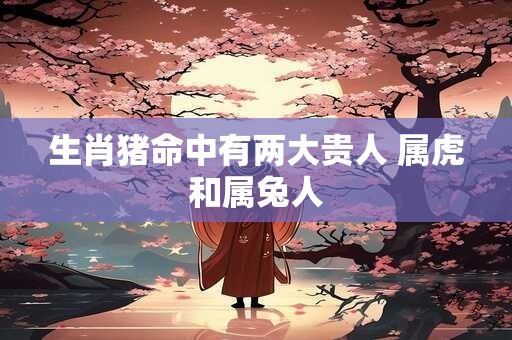 生肖猪命中有两大贵人 属虎和属兔人