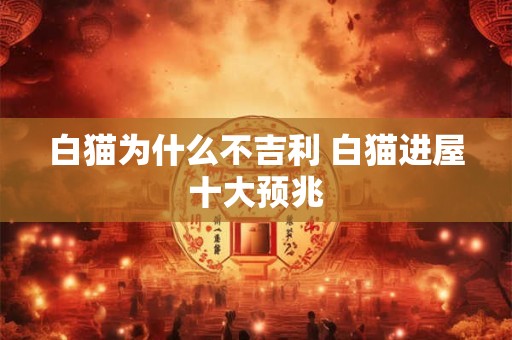 白猫为什么不吉利 白猫进屋十大预兆 白猫为什么不吉利 白猫进屋十大预兆