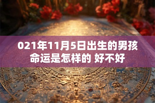 021年11月5日出生的男孩命运是怎样的 好不好