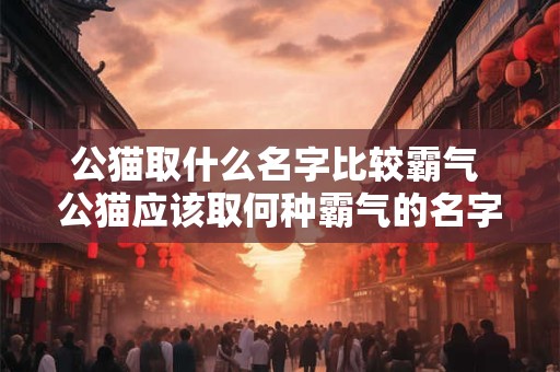 公猫取什么名字比较霸气 公猫应该取何种霸气的名字