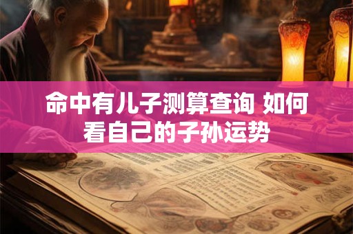 命中有儿子测算查询 如何看自己的子孙运势
