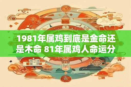 1981年属鸡到底是金命还是木命 81年属鸡人命运分析
