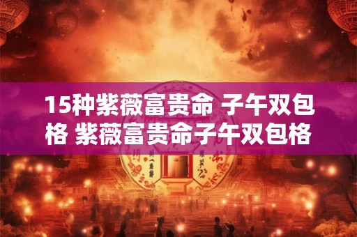 15种紫薇富贵命 子午双包格 紫薇富贵命子午双包格有哪15种
