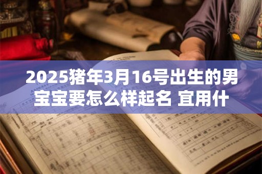 2025猪年3月16号出生的男宝宝要怎么样起名 宜用什么字