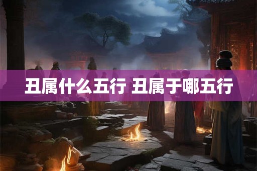 丑属什么五行 丑属于哪五行