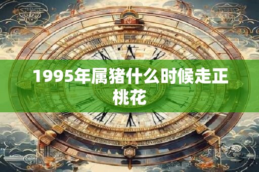 1995年属猪什么时候走正桃花