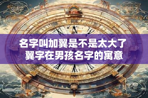 名字叫加翼是不是太大了 翼字在男孩名字的寓意
