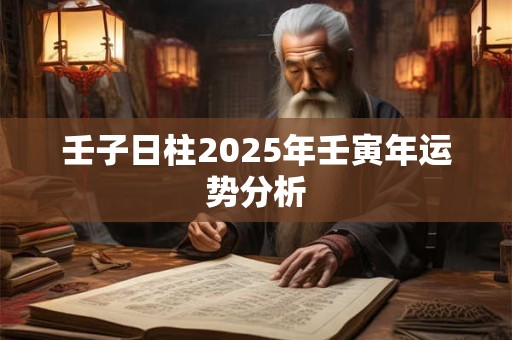 壬子日柱2025年壬寅年运势分析