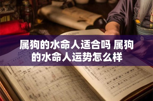 属狗的水命人适合吗 属狗的水命人运势怎么样
