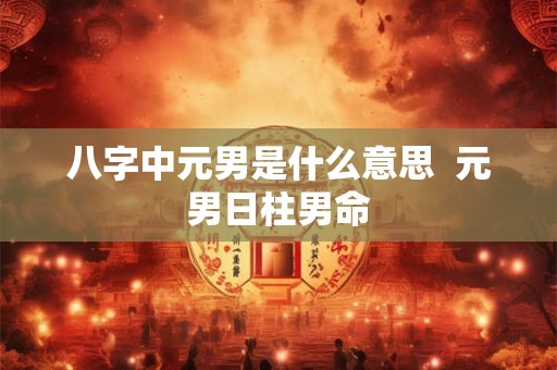 八字中元男是什么意思  元男日柱男命