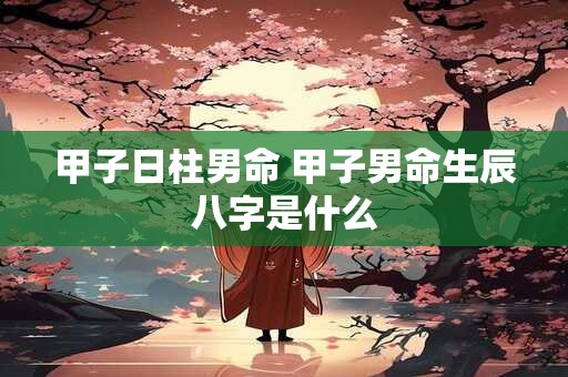 甲子日柱男命 甲子男命生辰八字是什么