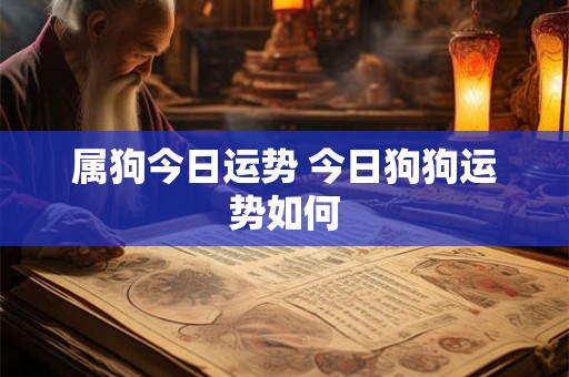 属狗今日运势 今日狗狗运势如何