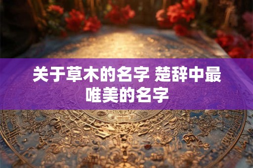 关于草木的名字 楚辞中最唯美的名字