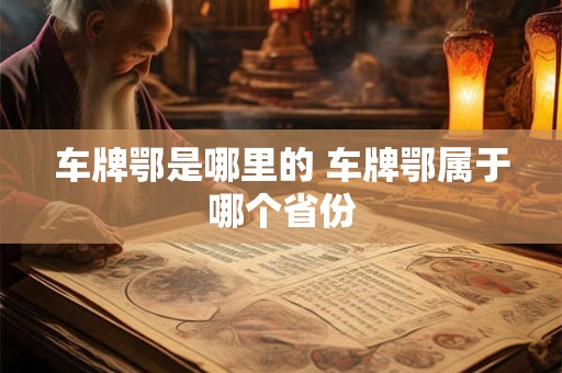 车牌鄂是哪里的 车牌鄂属于哪个省份