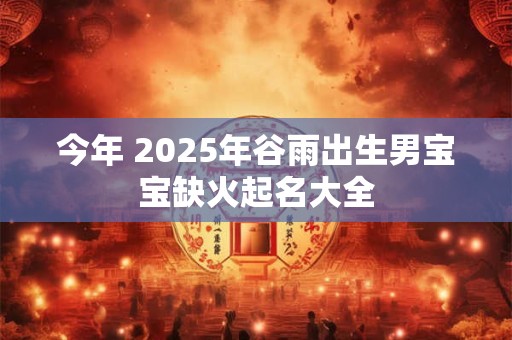 今年 2025年谷雨出生男宝宝缺火起名大全