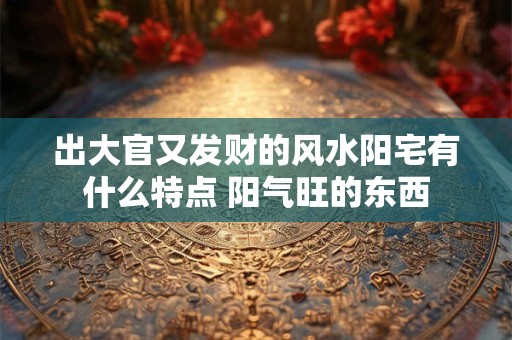 出大官又发财的风水阳宅有什么特点 阳气旺的东西