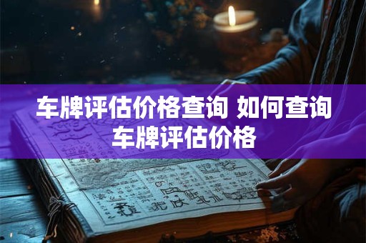 车牌评估价格查询 如何查询车牌评估价格