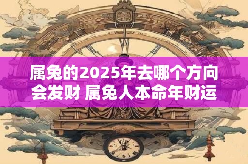 属兔的2026年去哪个方向会发财 属兔人本命年财运怎么样