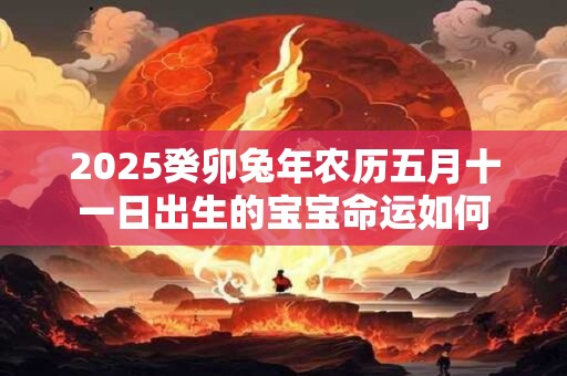 2025癸卯兔年农历五月十一日出生的宝宝命运如何
