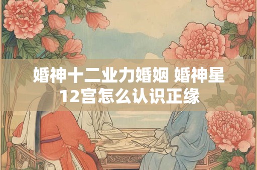 婚神十二业力婚姻 婚神星12宫怎么认识正缘
