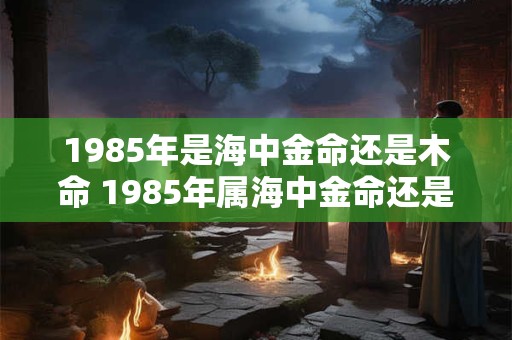 1985年是海中金命还是木命 1985年属海中金命还是木命