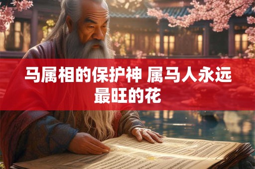 马属相的保护神 属马人永远最旺的花 马属相的保护神 属马人永远最旺的花