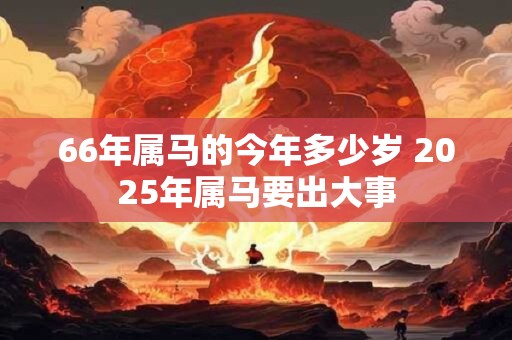 66年属马的今年多少岁 2026年属马要出大事