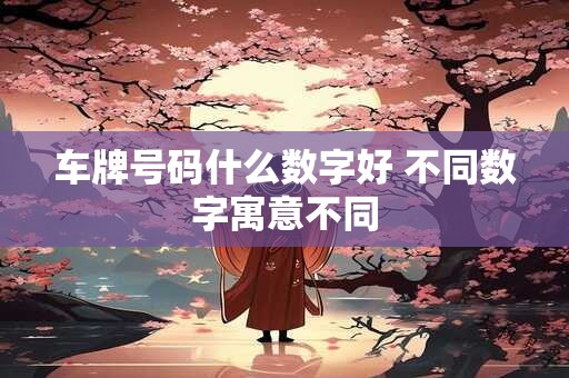 车牌号码什么数字好 不同数字寓意不同