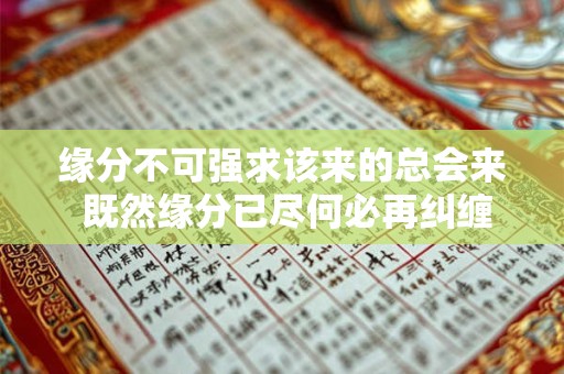 缘分不可强求该来的总会来 既然缘分已尽何必再纠缠