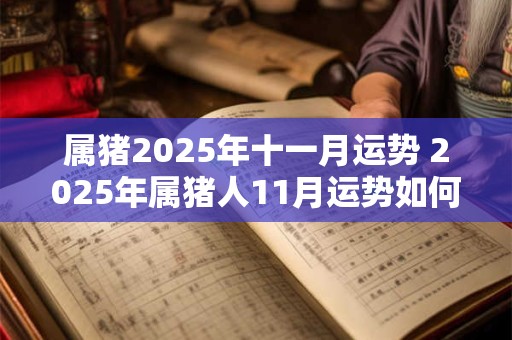属猪2025年十一月运势 2025年属猪人11月运势如何
