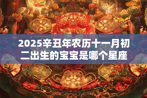 2025辛丑年农历十一月初二出生的宝宝是哪个星座