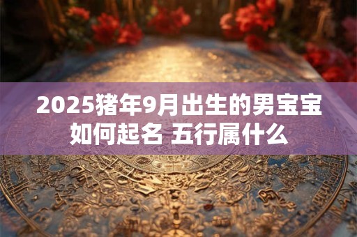 2025猪年9月出生的男宝宝如何起名 五行属什么
