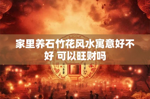 家里养石竹花风水寓意好不好 可以旺财吗