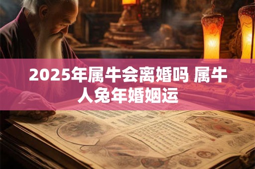 2025年属牛会离婚吗 属牛人兔年婚姻运