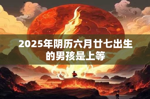 2026年阴历六月廿七出生的男孩是上等