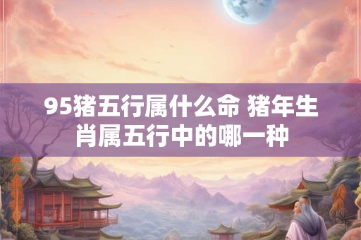 95猪五行属什么命 猪年生肖属五行中的哪一种