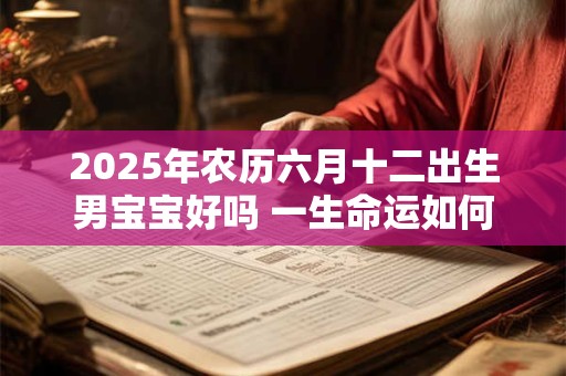 2025年农历六月十二出生男宝宝好吗 一生命运如何
