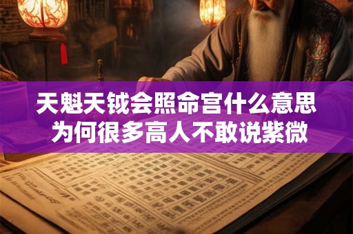 天魁天钺会照命宫什么意思 为何很多高人不敢说紫微星
