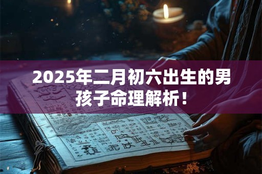 2026年二月初六出生的男孩子命理解析！