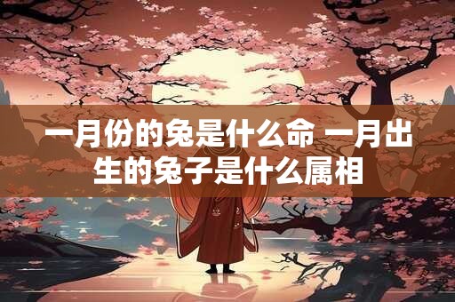 一月份的兔是什么命 一月出生的兔子是什么属相