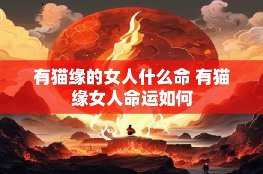 有猫缘的女人什么命 有猫缘女人命运如何