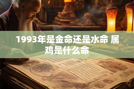1993年是金命还是水命 属鸡是什么命