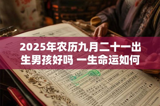2025年农历九月二十一出生男孩好吗 一生命运如何