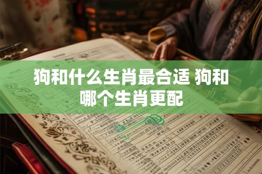 狗和什么生肖最合适 狗和哪个生肖更配