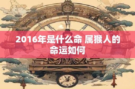 2016年是什么命 属猴人的命运如何 2016年是什么命 属猴人的命运如何